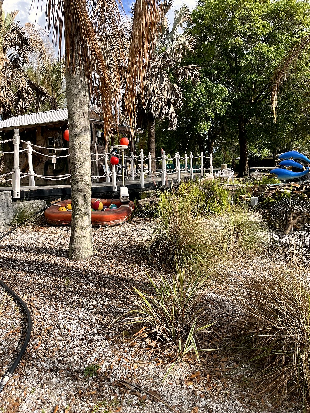 Tropical garden with kayaks and lanterns